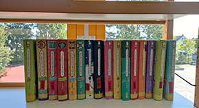 Schulbibliothek 3
